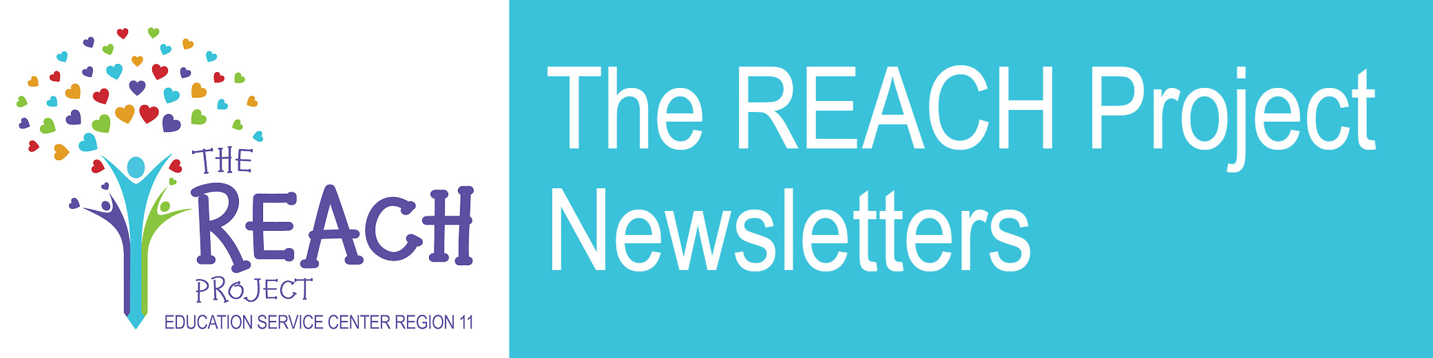 The REACH Project Newsletters